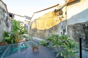 local backpacker hostel