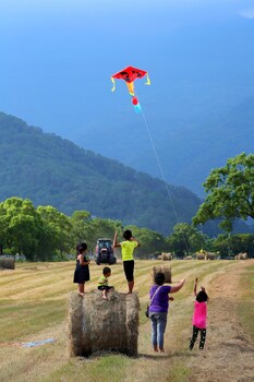 Chinshang Pastoral Farm Resort,Taitung>>Chishang,3 star