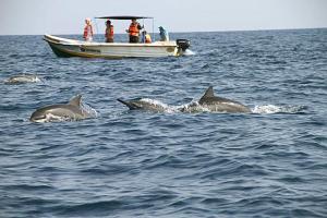 maldive