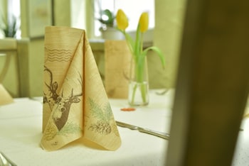 hotel restaurant hirsch