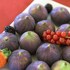 toscolano maderno