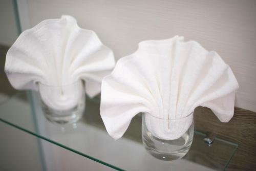 royal airstrip hotel