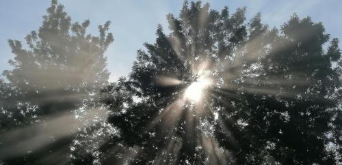 changu newa homestay