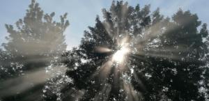 changu newa homestay