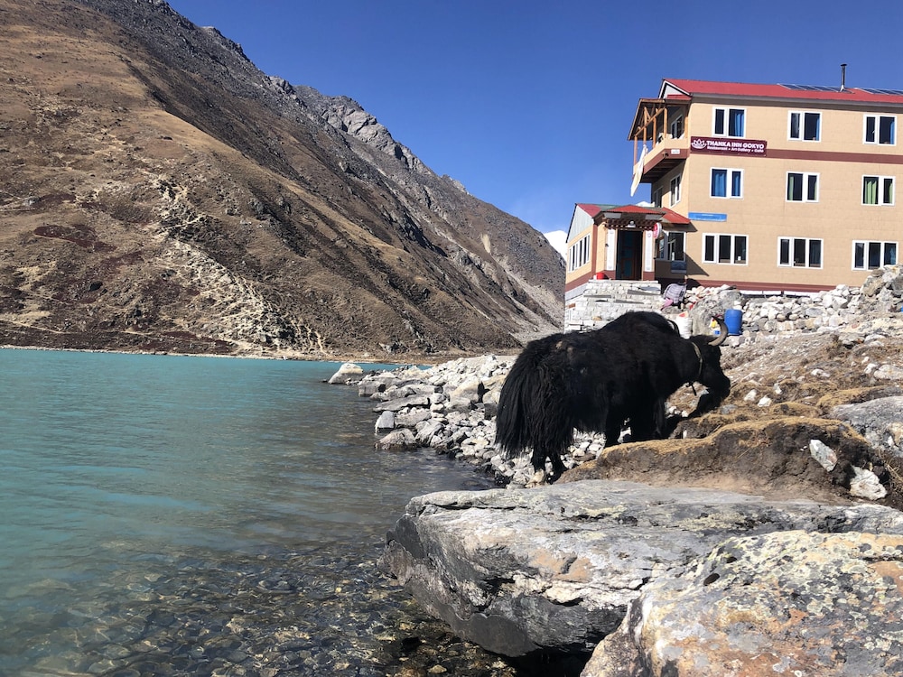 thanka inn gokyo