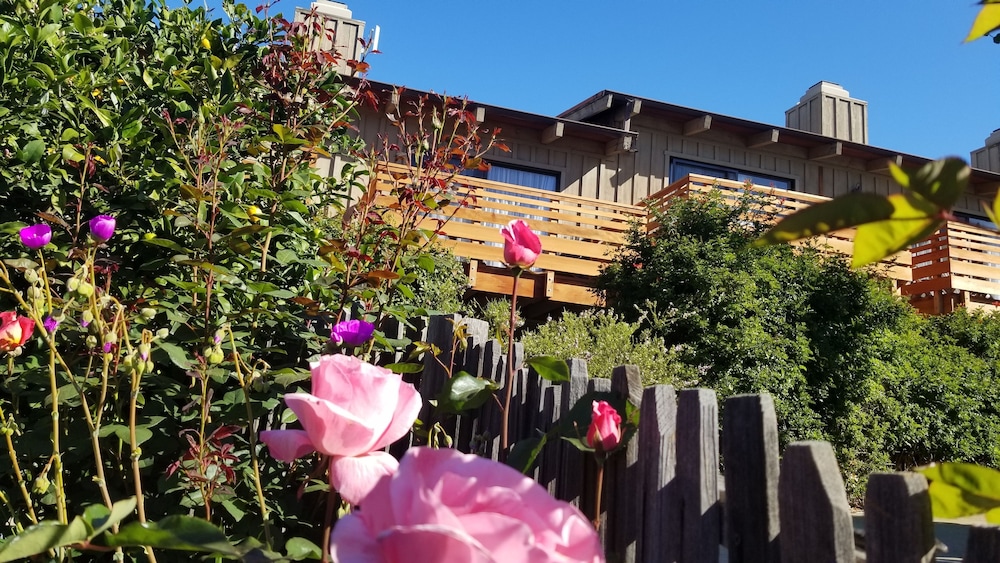 carmel valley lodge and resort