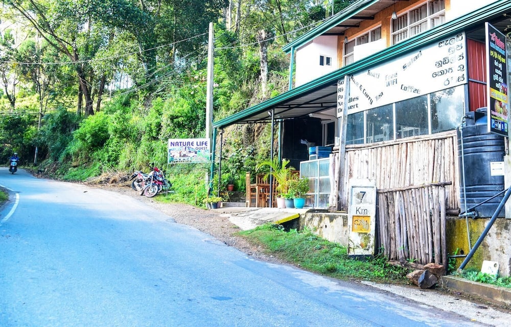 nature life guest inn ella sri lanka hostel