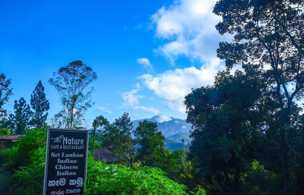 nature life guest inn ella sri lanka hostel