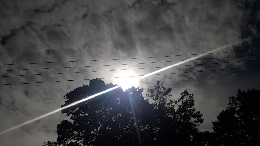 nature life guest inn ella sri lanka hostel