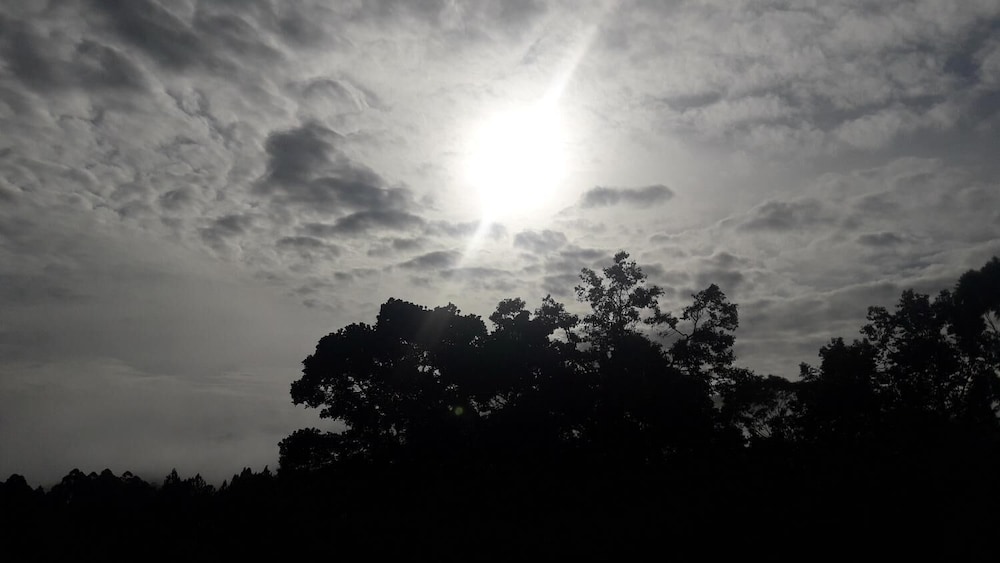 nature life guest inn ella sri lanka hostel