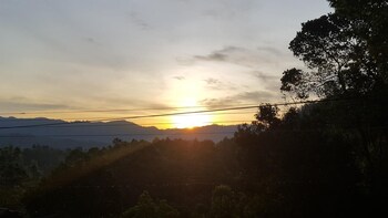 nature life guest inn ella sri lanka hostel