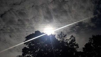 nature life guest inn ella sri lanka hostel