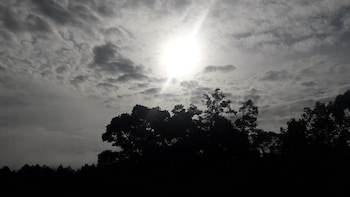 nature life guest inn ella sri lanka hostel