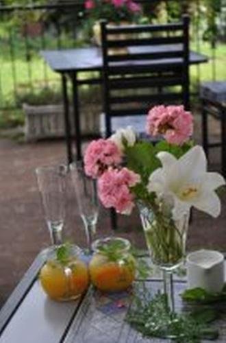 Plumbago Guest House,Hazyview>>Ehlanzeni,5 star