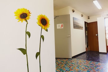 shinjuku sky capsule