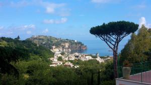 terme la pergola