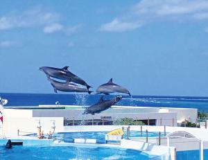 zoe resort the sunset village okinawa chatan