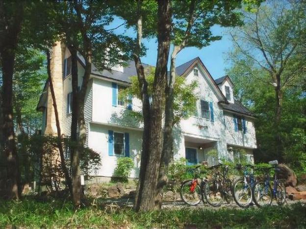 cozy inn antique