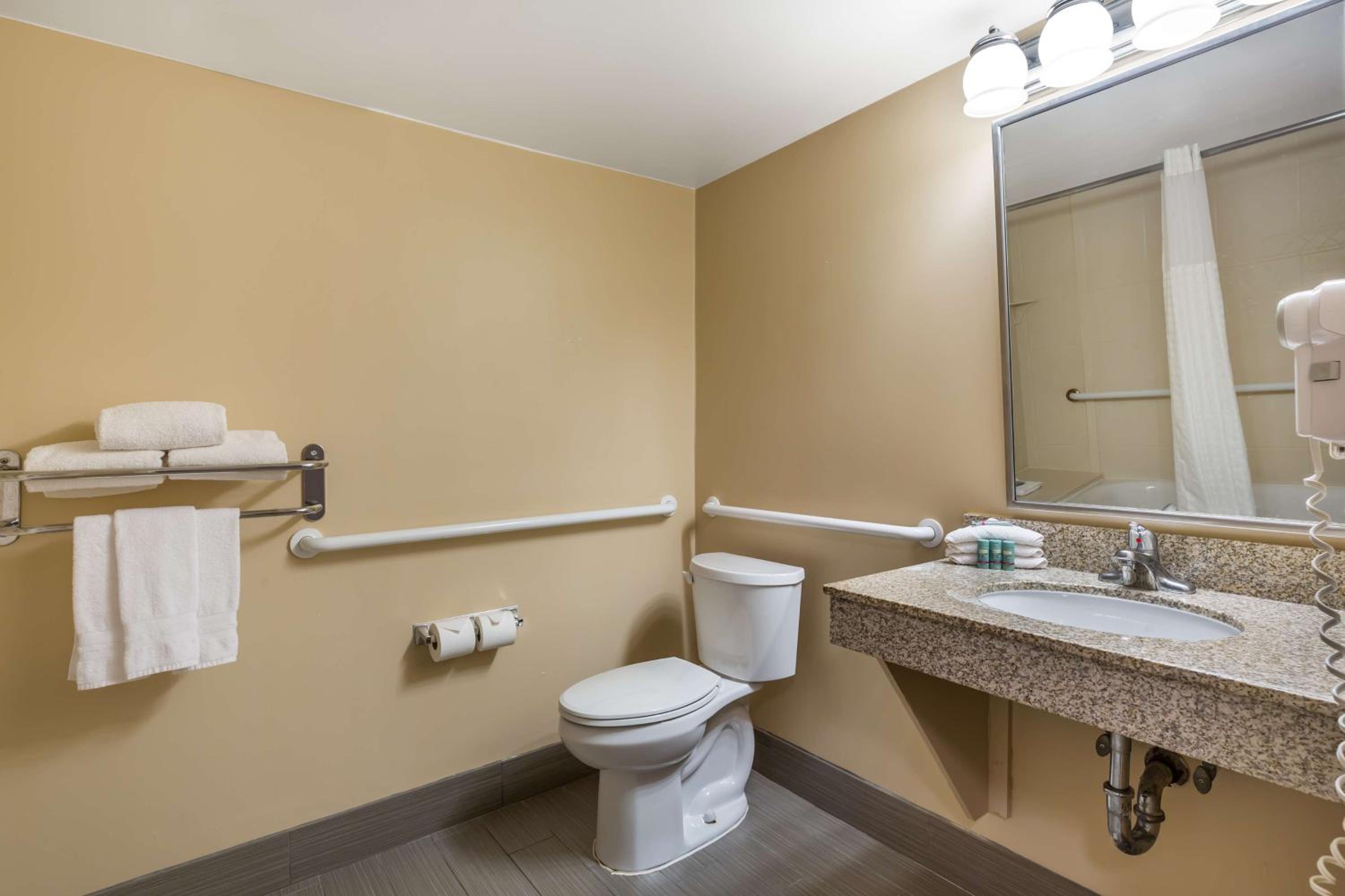 daiwa roynet hotel tokyo ariake