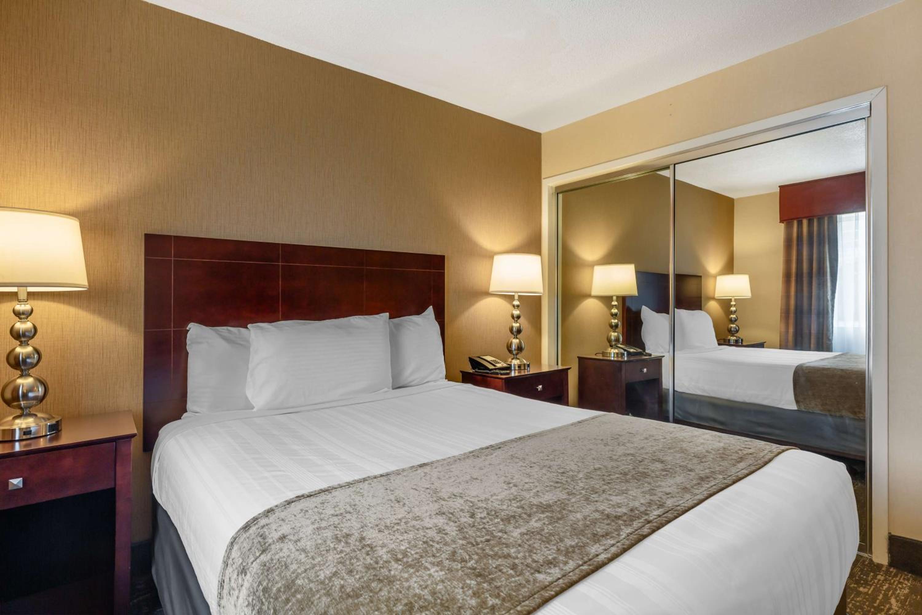 daiwa roynet hotel tokyo ariake