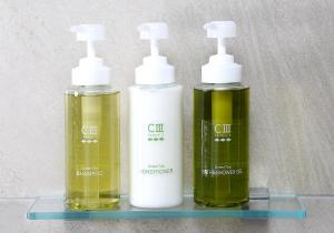 daiwa roynet hotel tokyo ariake