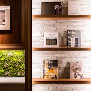 superhotel premier ginza