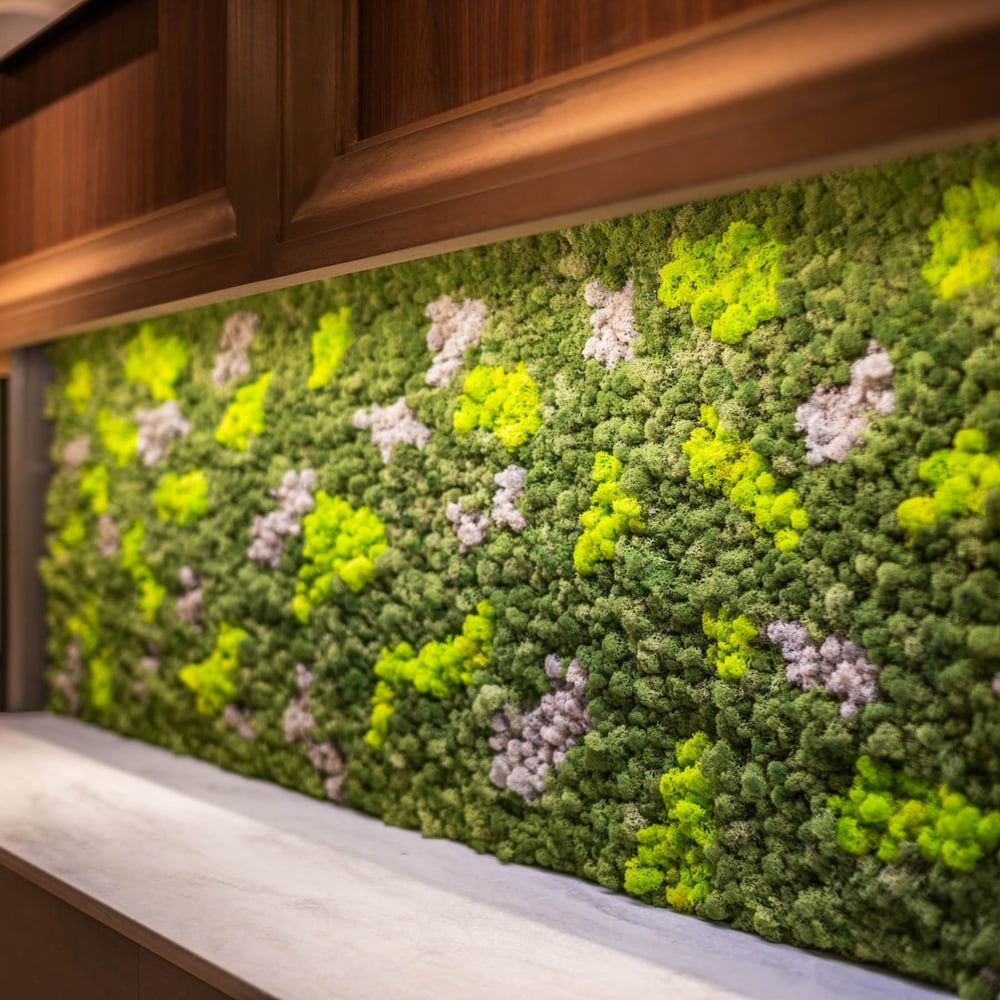 superhotel premier ginza