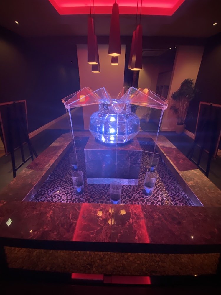 hotel oasis adults only