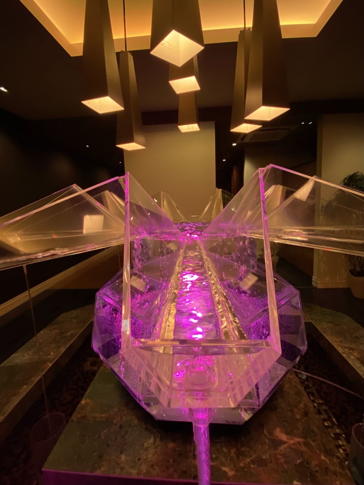 hotel oasis adults only