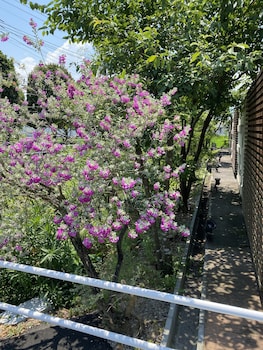 hotel oasis adults only