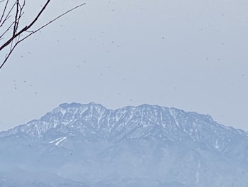 hotel oasis adults only