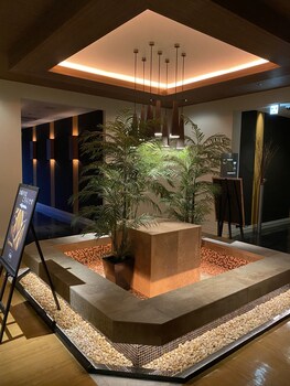 hotel oasis adults only