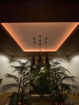 hotel oasis adults only