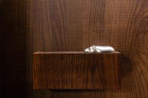 the royal park canvas ginza 8