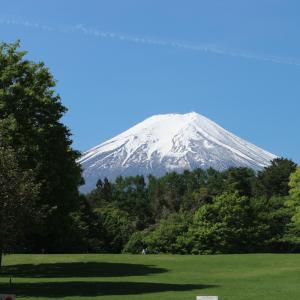 hana hostel fujisan