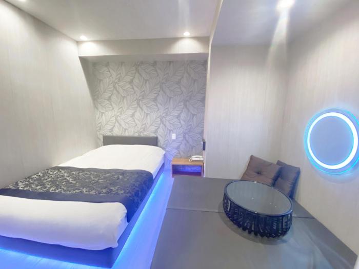 hotel the hotel shinjuku kabukicho adults only