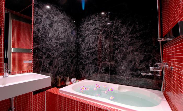 hotel the hotel shinjuku kabukicho adults only