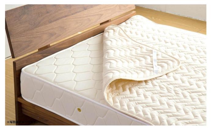 hotel the hotel shinjuku kabukicho adults only