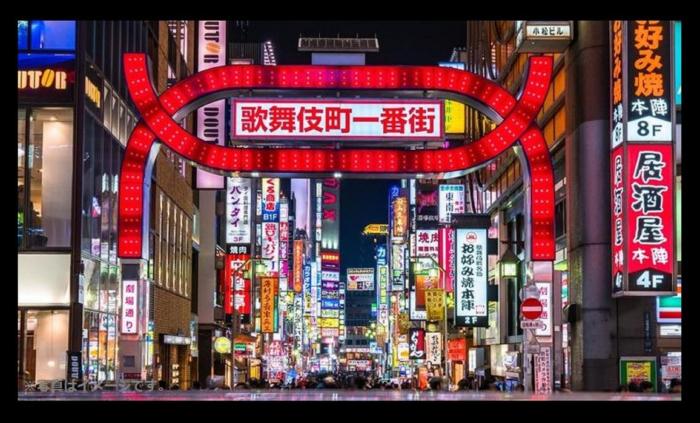 hotel the hotel shinjuku kabukicho adults only