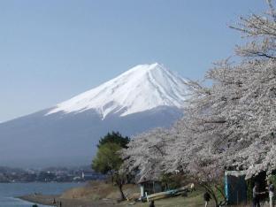fujikawaguchiko