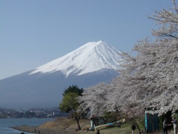 fujikawaguchiko