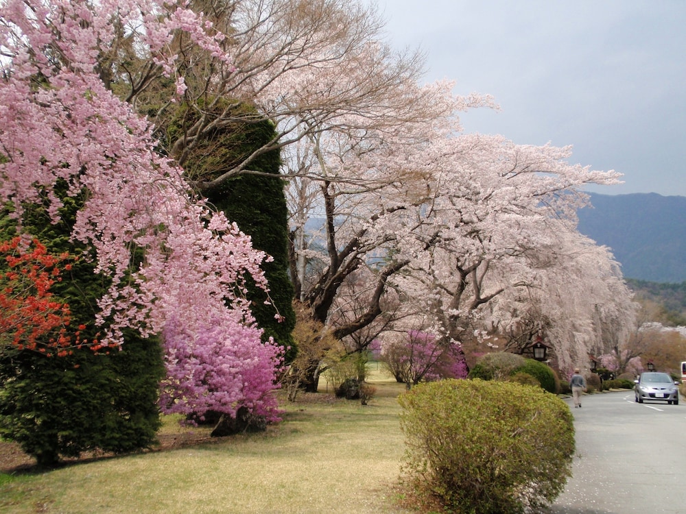 fujikawaguchiko