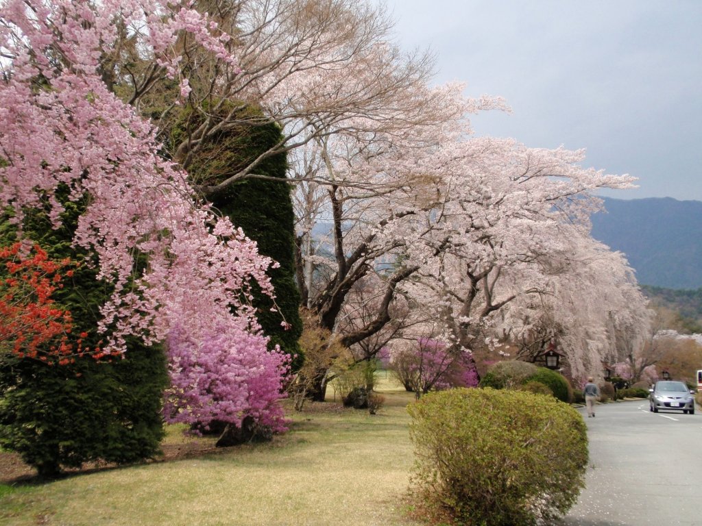 fujikawaguchiko