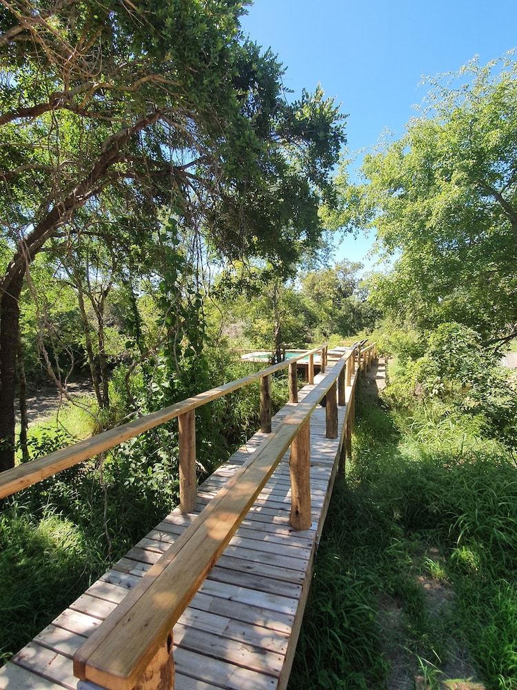 kingfisher creek lodge