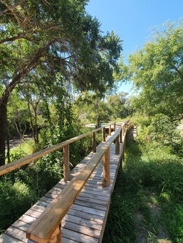 kingfisher creek lodge