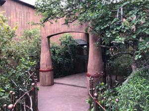 leopards rock bush boutique