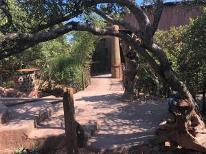 leopards rock bush boutique