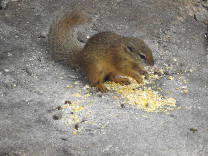 birds babble self catering guest house