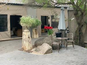 birds babble self catering guest house