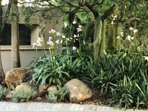 birds babble self catering guest house